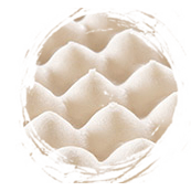 我們的資源優(yōu)勢(shì)
