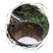 我們的創(chuàng)新優(yōu)勢(shì)